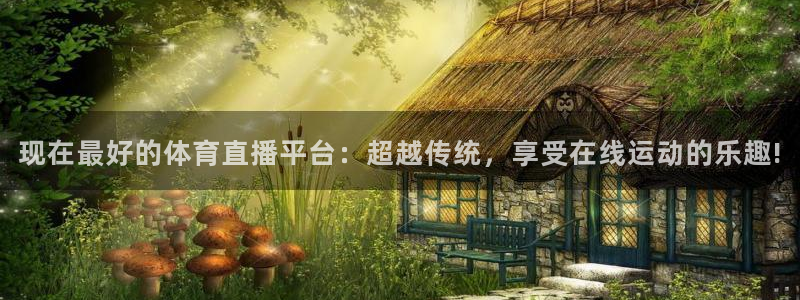 9255tv直播nba在线直播：现在最好的体育直播平台：超越传统，享受在线运动的乐趣!