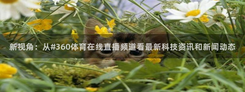 9255tv直播nba在线直播：新视角：从#360体育在线直播频道看最新科技资讯和新闻动态