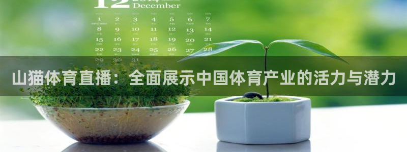 9255tv直播nba在线直播：山猫体育直播：全面展示中国体育产业的活力与潜力