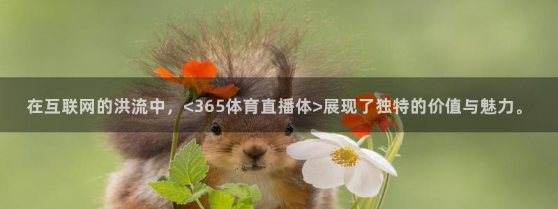 9255tv直播无插件nba：在互联网的洪流中，<365体育直播体>展现了独特的价值与魅力。