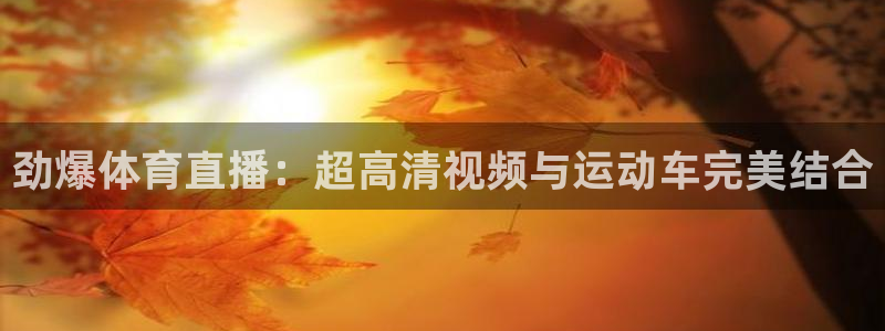 9255tv直播无插件nba：劲爆体育直播：超高清视频与运动车完美结合