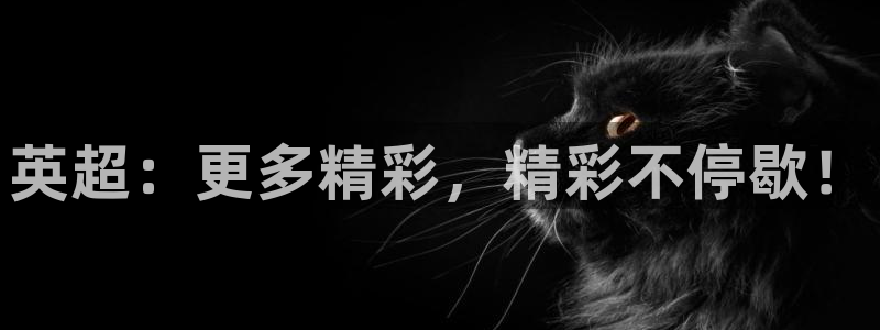 9255tv直播nba在线直播：英超：更多精彩，精彩不停歇！