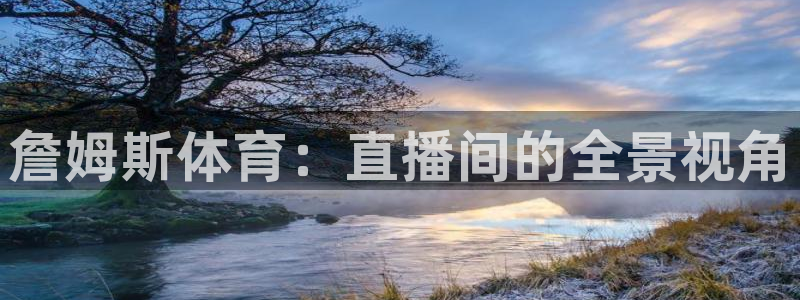 9255tv直播nba在线直播：詹姆斯体育：直播间的全景视角