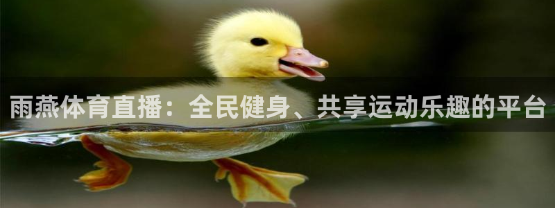 9255tv直播nba在线观看：雨燕体育直播：全民健身、共享运动乐趣的平台