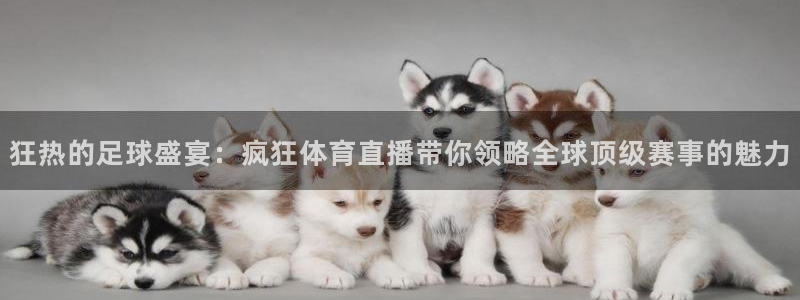 9255tv直播nba在线直播：狂热的足球盛宴：疯狂体育直播带你领略全球顶级赛事的魅力