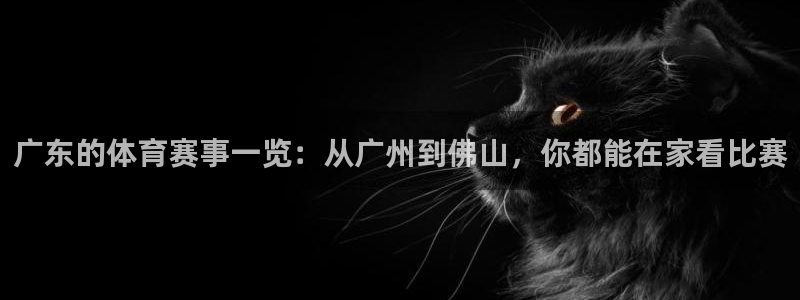 9255tv直播nba在线观看：广东的体育赛事一览：从广州到佛山，你都能在家看比赛